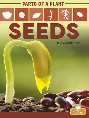 Semena - Seeds