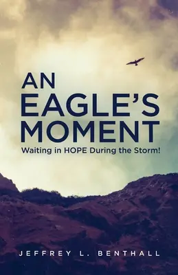Orlí okamžik: Čekání v naději během bouře! - An Eagle's Moment: Waiting in HOPE During the Storm!