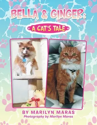 Bella & Ginger: kočičí příběh / Bella & Ginger: a Cat's Tale - Bella & Ginger: a Cat's Tale
