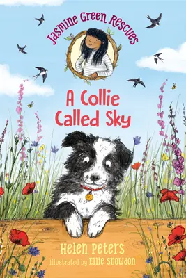 Jasmine Green Rescues: Kolie jménem Sky - Jasmine Green Rescues: A Collie Called Sky