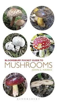 Kapesní průvodce houbami - Pocket Guide to Mushrooms