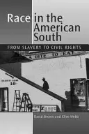 Rasa na americkém Jihu - od otroctví k občanským právům - Race in the American South - From Slavery to Civil Rights