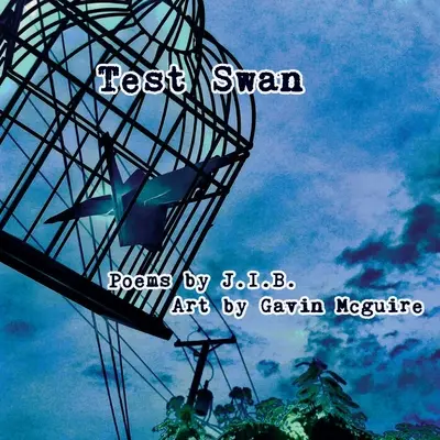 Test labutě - Test Swan