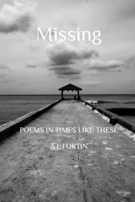 Chybějící - Missing