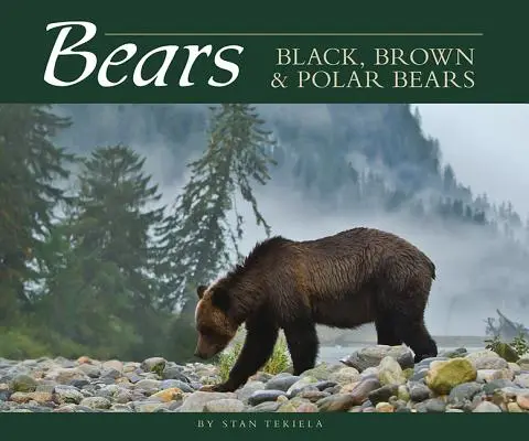 Medvědi: Medvědi černí, hnědí a lední - Bears: Black, Brown & Polar Bears