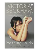 Učíme se létat - Learning to Fly