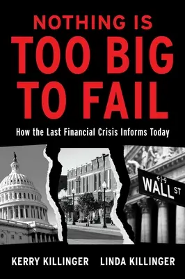 Nic není příliš velké na to, aby selhalo: Jak poslední finanční krize ovlivňuje dnešek - Nothing Is Too Big to Fail: How the Last Financial Crisis Informs Today
