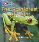 Deštný prales v noci - The Rainforest at Night