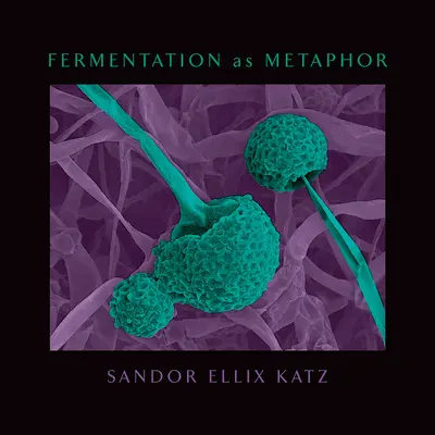 Fermentace jako metafora: Umění fermentace jako metafora: od autora bestselleru Umění fermentace - Fermentation as Metaphor: From the Author of the Bestselling the Art of Fermentation