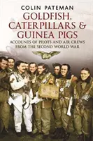 Zlaté rybky housenky a morčata - vyprávění pilotů a leteckých posádek z druhé světové války - Goldfish Caterpillars & Guinea Pigs - Accounts of Pilots and Air Crews from World War II