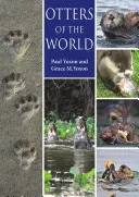 Vydry světa - Otters of the World