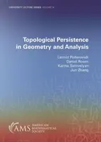 Topologická trvalost v geometrii a analýze - Topological Persistence in Geometry and Analysis