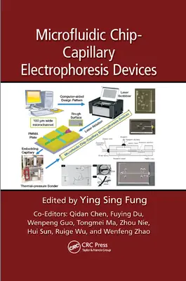 Mikrofluidní čipová kapilární elektroforéza zařízení - Microfluidic Chip-Capillary Electrophoresis Devices
