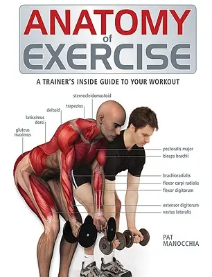 Anatomie cvičení: Trenérův vnitřní průvodce cvičením - Anatomy of Exercise: A Trainer's Inside Guide to Your Workout