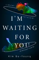 Čekám na tebe - I'm Waiting For You