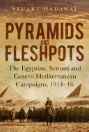 Pyramidy a fleshpoty - Egyptské, senuské a východostředomořské tažení 1914-16 - Pyramids and Fleshpots - The Egyptian, Senussi and Eastern Mediterranean Campaigns, 1914-16