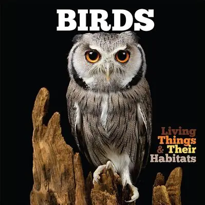 Ptáci - Birds