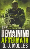 Zbývá: Aftermath - Remaining: Aftermath