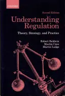 Porozumění regulaci: Teorie, strategie a praxe - Understanding Regulation: Theory, Strategy, and Practice
