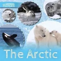 Arktida - Arctic