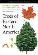 Stromy východní Severní Ameriky - Trees of Eastern North America