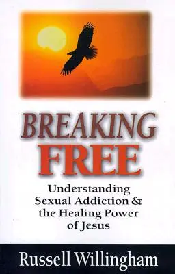 Breaking Free: Understanding Sexual Addiction and the Healing Power of Jesus (Osvobození: Porozumění sexuální závislosti a Ježíšova uzdravující moc) - Breaking Free: Understanding Sexual Addiction and the Healing Power of Jesus