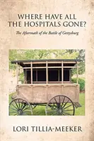 Kam zmizely všechny nemocnice?: Následky bitvy u Gettysburgu - Where Have All the Hospitals Gone?: The Aftermath of the Battle of Gettysburg