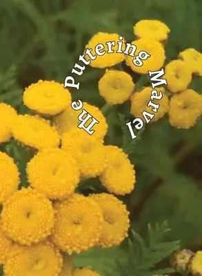 Putující zázrak - The Puttering Marvel