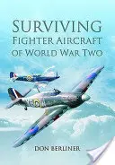 Přeživší stíhací letouny druhé světové války - Surviving Fighter Aircraft of World War Two