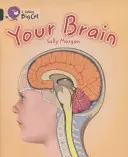 Tvůj mozek - Your Brain