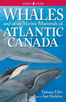 Velryby a další mořští savci Atlantiku v Kanadě - Whales and Other Marine Mammals of Atlantic Canada