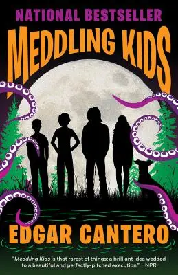 Vtíravé děti - Meddling Kids