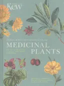 Společník zahradníka k léčivým rostlinám: A-Z léčivých rostlin a domácích léčivých prostředků - The Gardener's Companion to Medicinal Plants: An A-Z of Healing Plants and Home Remedies