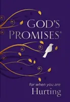 Boží zaslíbení pro chvíle, kdy se trápíš - God's Promises for When You Are Hurting
