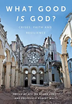 K čemu je dobrý Bůh? Krize, víra a odolnost - What Good Is God?: Crises, Faith, and Resilience