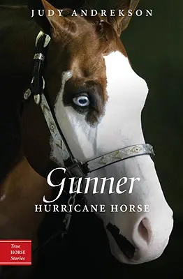Gunner: Hurikánový kůň - Gunner: Hurricane Horse
