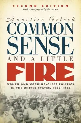 Zdravý rozum a trocha ohně: Ženy a politika dělnické třídy ve Spojených státech v letech 1900-1965 - Common Sense and a Little Fire: Women and Working-Class Politics in the United States, 1900-1965