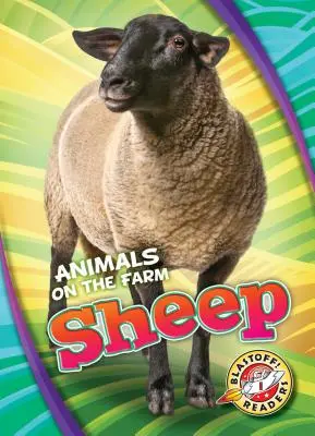 Ovce - Sheep