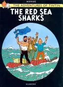 Žraloci v Rudém moři - Red Sea Sharks