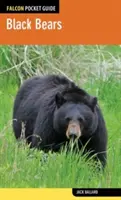 Černí medvědi - Black Bears
