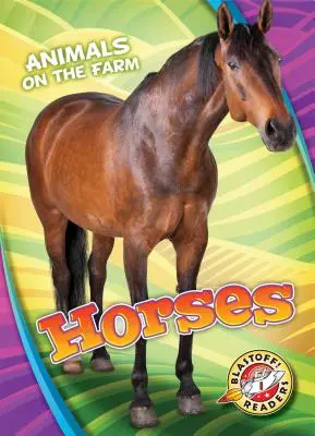 Koně - Horses
