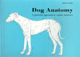 Anatomie psa: Anatomie psů: Obrázkový přístup ke stavbě těla psů - Dog Anatomy: A Pictoral Approach to Canine Structure