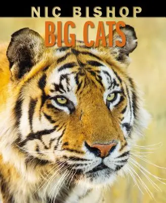 Nic Bishop Velké kočky - Nic Bishop Big Cats