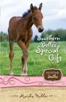 Zvláštní dar jižanské krásky, 3 - Southern Belle's Special Gift, 3