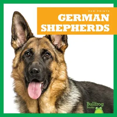 Němečtí ovčáci - German Shepherds