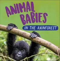 Zvířecí mláďata: V deštném pralese - Animal Babies: In the Rainforest
