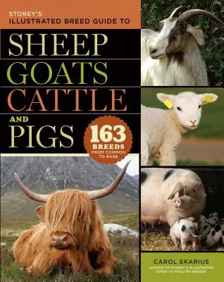 Storey's Illustrated Breed Guide to Sheep, Goats, Cattle and Pigs: 163 Breeds from Common to Rare (Ilustrovaný průvodce ovcemi, kozami, skotem a prasaty). - Storey's Illustrated Breed Guide to Sheep, Goats, Cattle and Pigs: 163 Breeds from Common to Rare