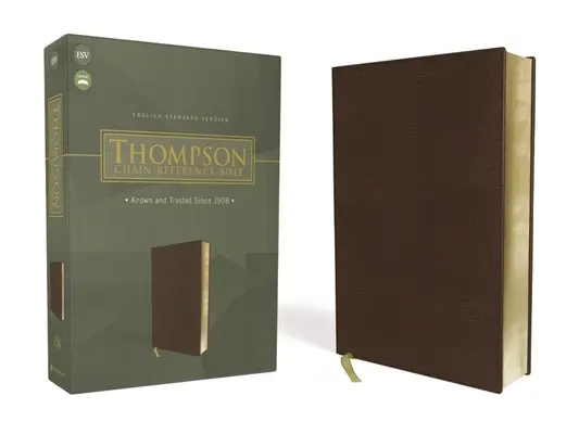 Esv, Thompsonova Bible s řetízkovým odkazem, kožená měkká, hnědá, červené písmo - Esv, Thompson Chain-Reference Bible, Leathersoft, Brown, Red Letter