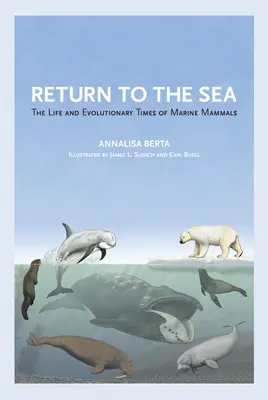 Návrat k moři: Život a vývojové období mořských savců. - Return to the Sea: The Life and Evolutionary Times of Marine Mammals