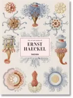 Umění a věda Ernsta Haeckela - The Art and Science of Ernst Haeckel